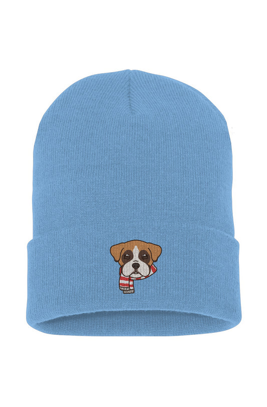 Bundled-Up Boxer