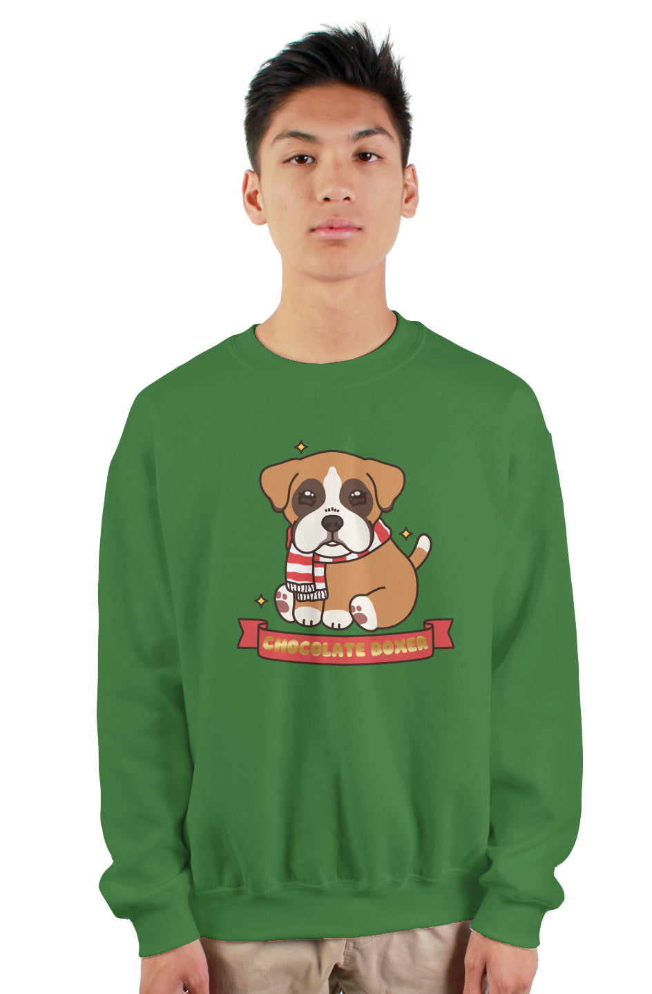 Banner Xmas Boxer