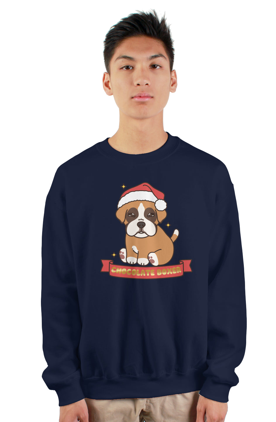Holiday Box Banner