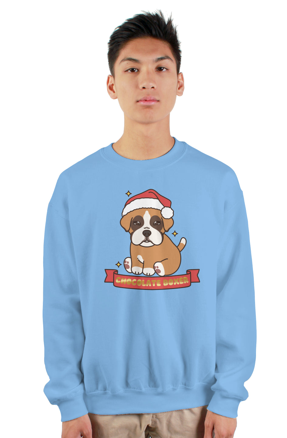 Holiday Box Banner